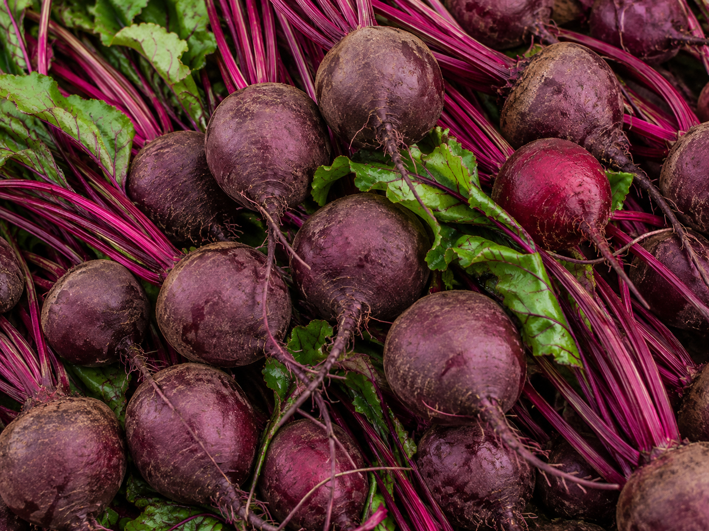 Beetroot