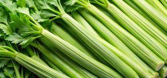 Celery
