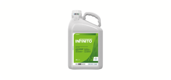Інфініто