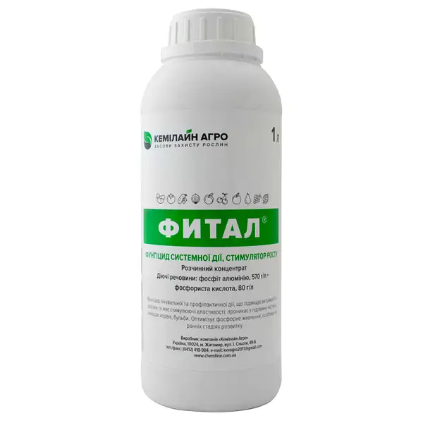 Фитал