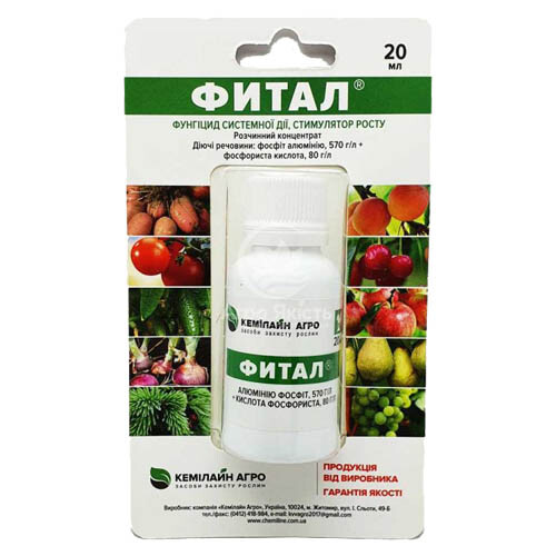 Фитал