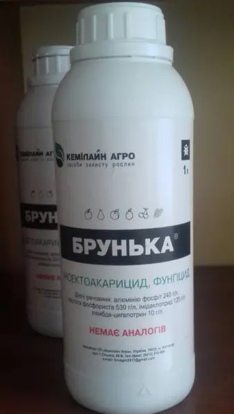 Брунька