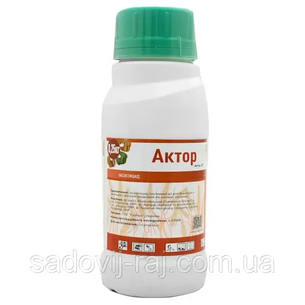 Actor