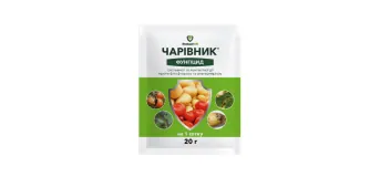 Чарівник