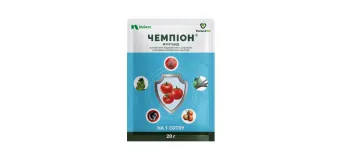 Чемпіон