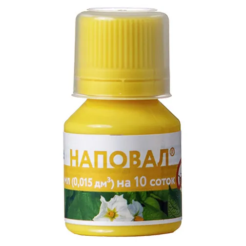Наповал