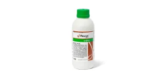 Ревус 250
