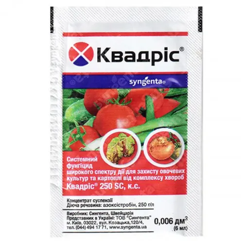 Квадріс