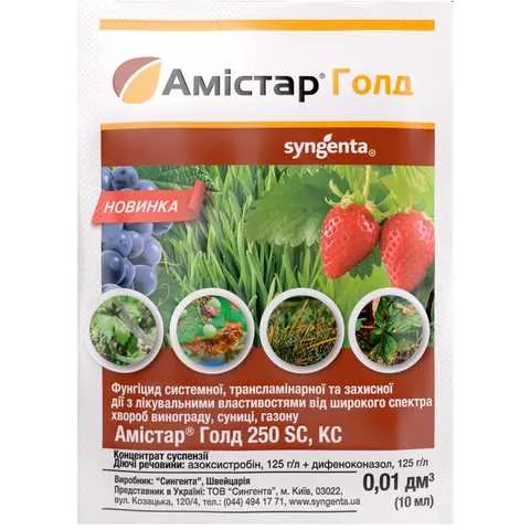 Амістар Голд