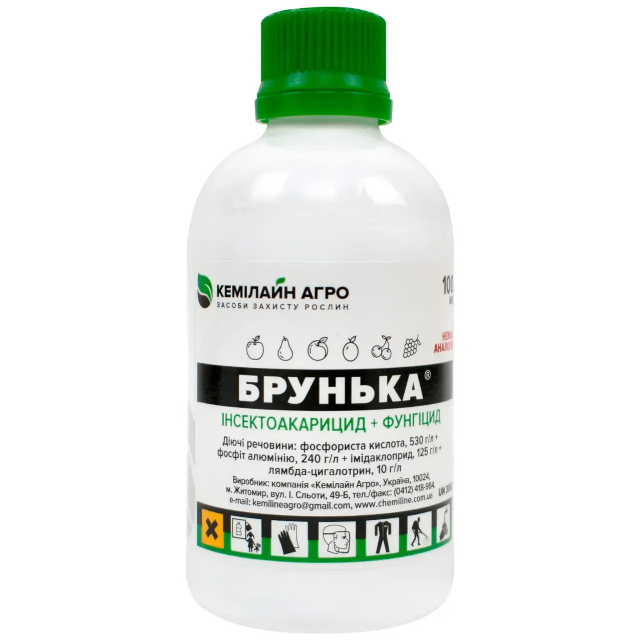 Брунька