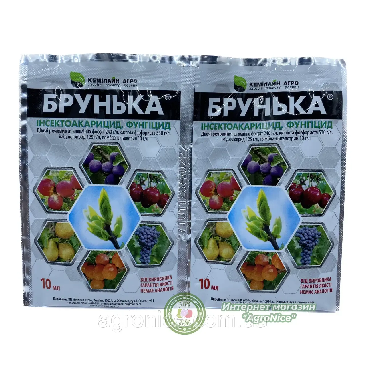 Брунька