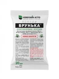 Брунька