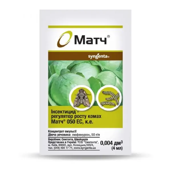 Матч