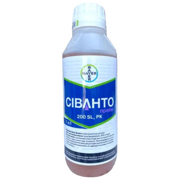 Сіванто Прайм