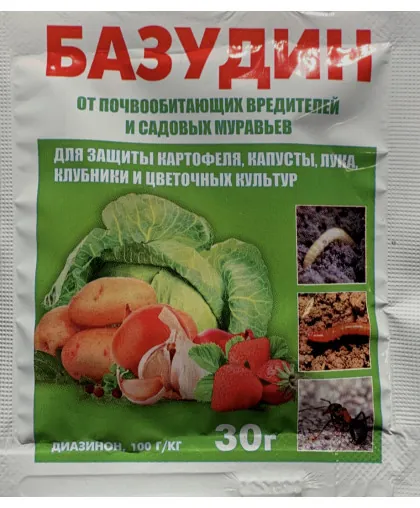 Базудин